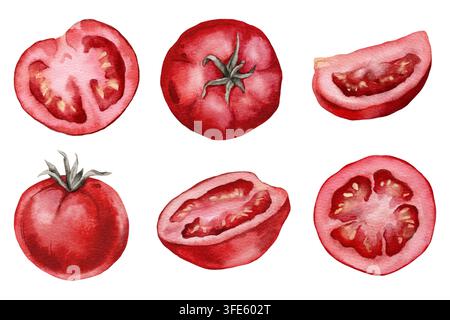 Set di elementi di pomodori dipinti a mano ad acquerello, frutti interi con gambi, mezze, fetta e spicchio in rosso profondo, sfondo bianco. Cibo italiano Foto Stock