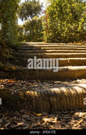 Vecchi gradini di pietra coperti di foglie cadute, che salgono su una collina ombrosa del parco. Ascesa e progresso su una scalinata da giardino storica. Foto Stock