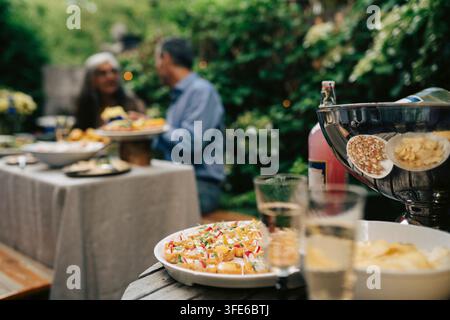 Deliziose antipasti e bevande servite a un pranzo familiare nel cortile Foto Stock