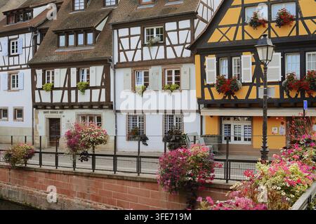 Case a graticcio sulla Lauch, Fischerstaden, Quai de la Poissonnerie, Colmar, Haut-Rhin, Alsazia, Grand Est, Francia Foto Stock