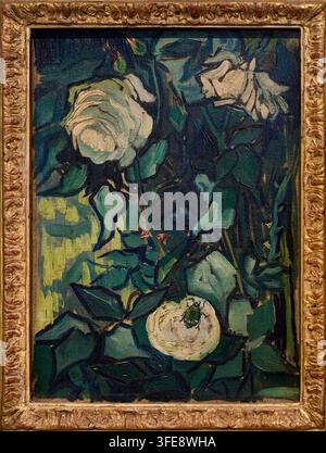 Rose, 1890, Vincent van Gogh (Zundert 1853 - Auvers-sur-Oise 1890), Museo Van Gogh, Amsterdam, Paesi Bassi Foto Stock