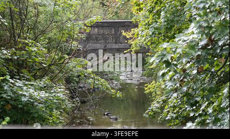 Antico ponte ad arco in pietra di cemento che si estende su un ruscello calmo e poco profondo incorniciato da una fitta foresta di alberi verdi e una vegetazione estiva lussureggiante in un pacifico Br Foto Stock
