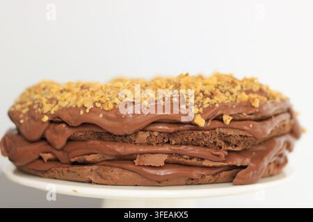 Torta al cioccolato fatta in casa con noci servita su un piatto in primo piano Foto Stock