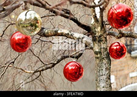 Palle rosse e dorate appese ai rami di un albero lungo la strada nella città di Dublino. Decorazioni esterne o addobbi per la stagione delle feste natalizie. Irlanda Foto Stock