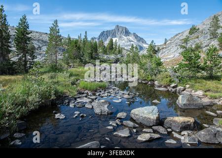 Un torrente d'acqua dolce incontaminato nelle montagne della Sierra Nevada in California, scorre attraverso la bellissima e aspra paesaggio montano. Foto Stock