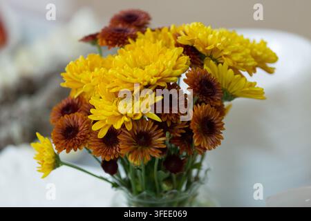 Una vivace composizione floreale con crisantemi giallo brillante e marrone rossastro caldo in un vaso di vetro al chiuso, con uno sfondo sfocato e morbido. Foto Stock