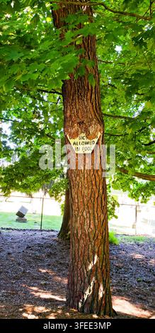Tronco di albero con cartello scritto a mano sotto una chioma frondosa verde Foto Stock