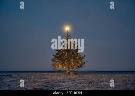 Albero di Natale illuminato in un campo innevato al crepuscolo Foto Stock