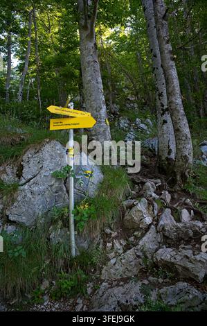 Bad Goisern, Austria - 13 luglio 2026: Cartello giallo per escursioni su un sentiero montano roccioso che indica l'Ewige Wand sul Predigstuhl nel Salzkammergut. Foto Stock