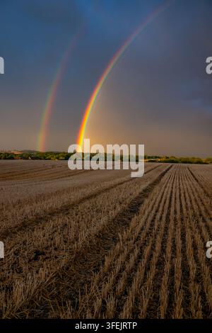 Un vivace doppio arcobaleno si estende su un cielo tempestoso scuro sopra un campo di stecchi agricoli raccolto nella campagna rurale al tramonto. Foto Stock