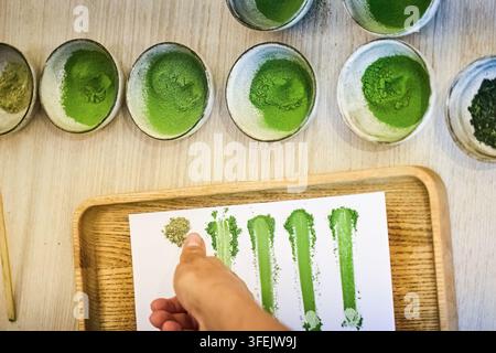 Mano che confronta i gradi di colore e la qualità della polvere di matcha Foto Stock
