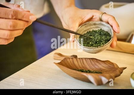 Mani che preparano foglie di tè verde per una cerimonia tradizionale Foto Stock