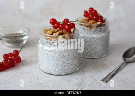 Pudding di chia con granola e ribes rossi in barattoli di vetro, vista frontale, spazio per il testo Foto Stock