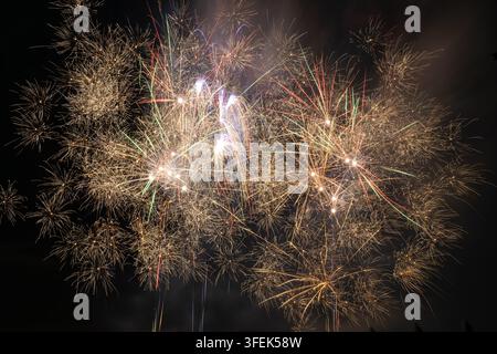 Fuochi d'artificio vivaci illuminano il cielo notturno scuro durante una celebrazione, esplodendo in brillanti motivi dorati e colorati. Foto Stock