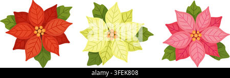 Splendido set vettoriale di fiori di poinsettia natalizi disegnati a mano. Delizioso stile piatto con stelle rosse, gialle e rosa per le feste invernali, isolate su sfondo trasparente. Ottimo per biglietti di auguri festivi fai-da-te. Illustrazione Vettoriale