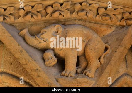 Basorilievo raffigurante un elefante, che adorna il Portale della Vergine sulla facciata sud della Cattedrale di Santo Stefano a Metz Foto Stock