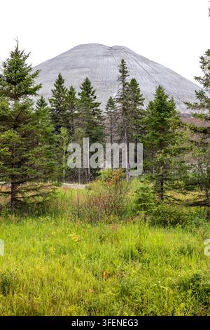 Canada, Thetford Mines, 30-07-2025. Un enorme cumulo di rifiuti di amianto (halde) si erge sopra una vegetazione rada nel sito minerario di amianto di Thetford Mines, mentre Foto Stock