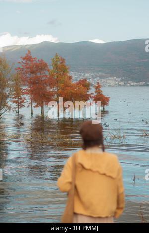 Donna che ammira una foresta di cipressi allagata riflessa nel lago Erhai, Dali, Yunnan Foto Stock