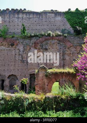 Terme di Caracalla/Bagni di Caracalla, Roma, Lazio, Italia, aprile 2024 Foto Stock