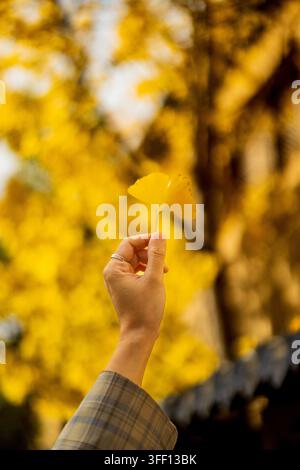 Mano che tiene una foglia di ginkgo dorata contro un cielo autunnale sfocato, Antica Città di Shaxi, Yunnan, Cina Foto Stock