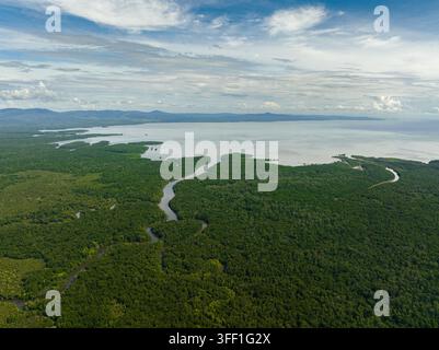 Vista aerea delle mangrovie sulla costa dell'isola del Borneo e del mare. Riserva con mangrovie. Malesia. Foto Stock