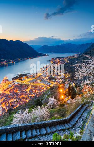 Città vecchia di Kotor, Montenegro con la baia di Kotor al tramonto nella stagione primaverile. Foto Stock