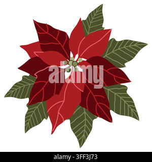 Piantaga di poinsettia rossa natalizia disegnata a mano, fiore e foglie illustrazione isolata per decorazioni invernali stagionali o packaging Illustrazione Vettoriale