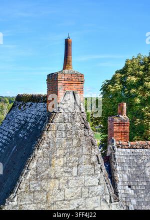 Monopetto alto su una canna fumaria più recente del XX secolo di un edificio in pietra del XVII secolo - Loches, Indre-et-Loire (37), Francia. Foto Stock