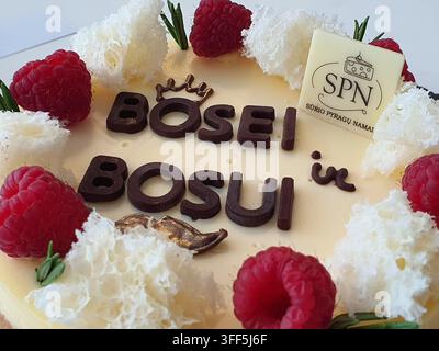 Prima piano di una torta rotonda celebrativa con glassa color crema, decorata con lamponi freschi, fiocchi di cocco bianchi e piccoli rametti di rosmarino. Foto Stock