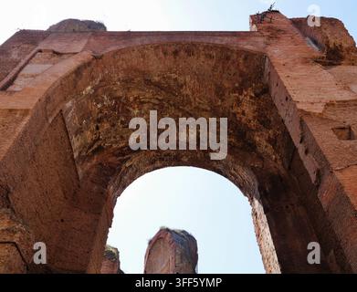 Tepidario delle Terme di Caracalla/Bagni di Caracalla, Roma, Lazio, Italia, aprile 2024 Foto Stock