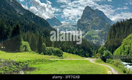 Valle alpina con ghiacciaio, foresta e ruscello di montagna. Prato alpino verde e foresta sotto vette montuose frastagliate e un ghiacciaio accanto a un flusso Foto Stock