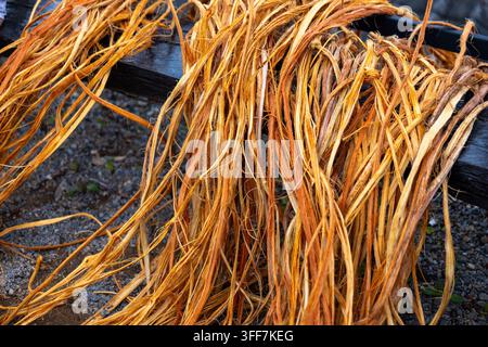 Un cavo di rame aggrovigliato cavi intrecciati fibra metallica arancione materiale riciclato primo piano trama con filo sfilato appeso su una barra scura, scarti di recupero per r Foto Stock