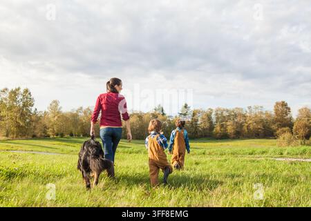 Una madre attraversa un campo erboso con i suoi due figli e un cane di razza Bernese Foto Stock