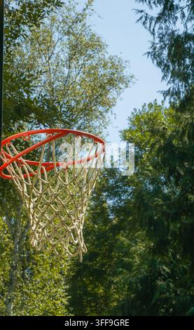 Prima piano di un canestro da basket all'aperto con rete a corda incorniciato da alberi a foglia e cielo azzurro, che mostra un semplice contesto sportivo di parco pubblico alla luce del giorno Foto Stock