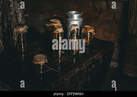 Barattoli di vetro vintage ripieni di erbe conservate riposano su un vecchio baule di legno accanto a una lattina di latte in metallo in una cabina rustica fioca, la luce e l'ombra creano un'atmosfera Foto Stock
