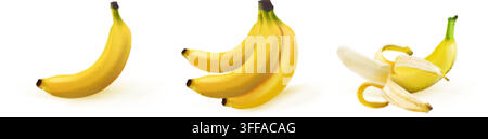 Banana realistica. Buccia sbucciata banana frutto tropicale, grappolo di banane pianta esotica dolce cibo naturale sano frutti gialli maturi illustrazione vettoriale isolata in 3D opera d'arte originale Illustrazione Vettoriale