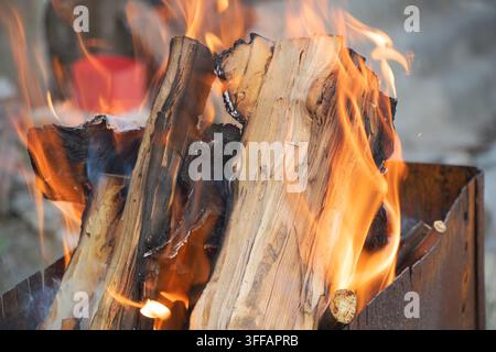 Fiamme arancioni brillanti che circondano legna da ardere spaccata all'interno di un braciere di metallo Foto Stock