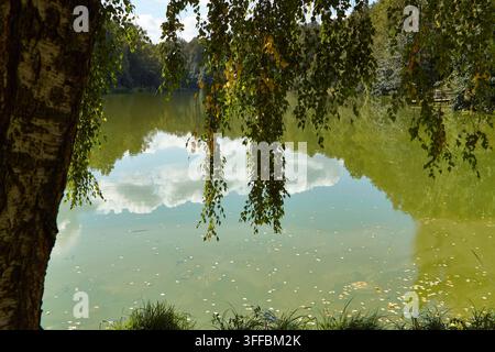 Vista panoramica di un lago calmo che riflette nuvole e alberi, con rami che pendono sull'acqua e erba rigogliosa lungo la riva Foto Stock