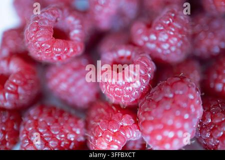 Frutti di bosco rossi freschi e maturi Macro primo piano con texture dettagliata delle bacche Foto Stock