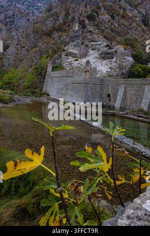 Fortezza di Kotor e mura della città medievale vicino al fiume all'alba a Kotor, Montenegro Foto Stock