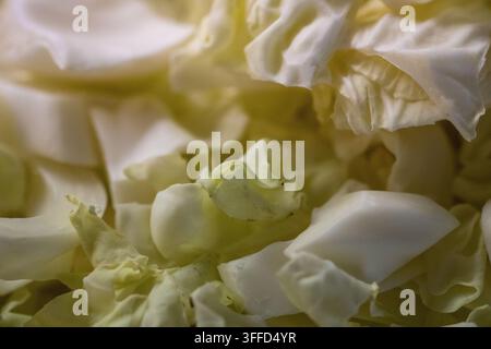 Una fotografia a distanza ravvicinata che cattura un ammasso denso e a tutto campo di pezzi di cavolo verde e bianco freschi di taglio e crudi. Foto Stock