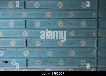 Prima vista di un soffitto in legno dipinto con motivi floreali e stellari, Gers, Saint Georges, Francia Foto Stock