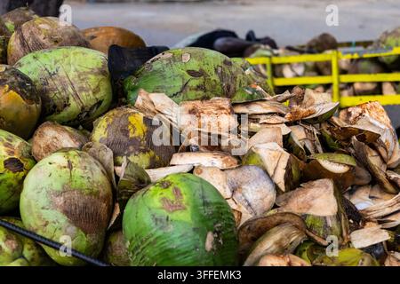 Mucchio di noci di cocco verdi fresche e gusci tritati a una bancarella di un venditore ambulante a Maputo, Mozambico Foto Stock