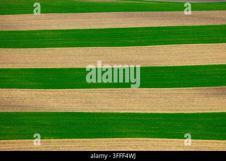 Vista di campi agricoli a strisce con colture verdi alternate e terreno marrone a Brno, regione della Moravia meridionale, Repubblica Ceca. Foto Stock