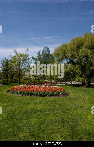 Una fotografia vivace cattura la bellezza del Giardino Lemoine a Montreal, Quebec, durante la primavera. Erba verde rigogliosa, aiuole colorate con il rosso Foto Stock