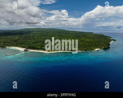 Vista a droni di una costa tropicale verde fiancheggiata da alberi fitti, spiaggia sabbiosa e molo. Camotes, Filippine. Foto Stock