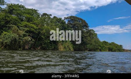 Jinja, Uganda - 2 novembre 2024. Una vista delle rive del Lago Vittoria in Uganda, vicino alla fonte del Nilo a Jinja Foto Stock