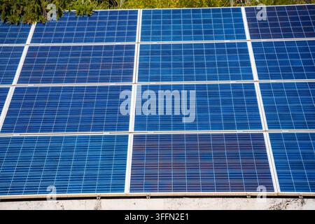 Pannelli solari installati su un tetto, che mostrano celle fotovoltaiche blu sotto la luce intensa del sole con vegetazione sullo sfondo, Croazia Foto Stock