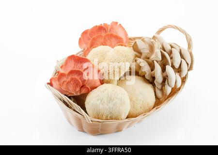 Funghi culinari freschi in un cesto su sfondo bianco Foto Stock