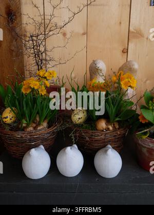 Composizioni floreali con fiori gialli e uova di Pasqua in cesti intrecciati su uno sfondo di legno Foto Stock